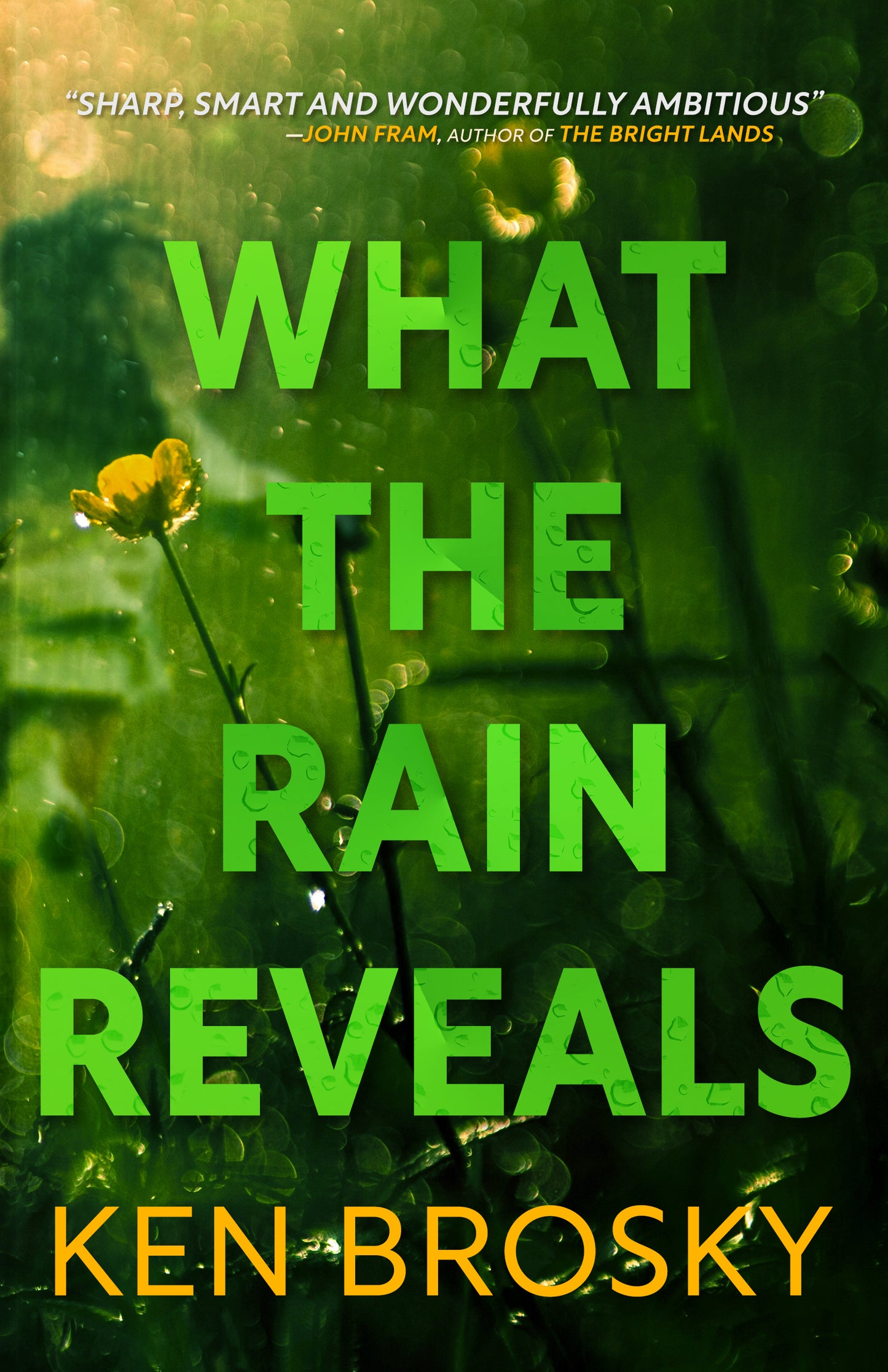 What the Rain Reveals *Autographed First Edition*